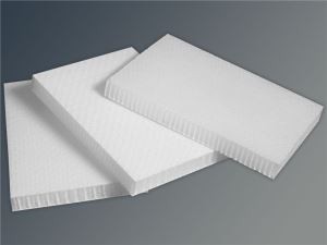 Panneau Sandwich En Plastique Pour Rvs